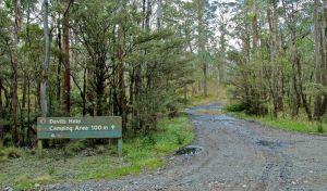 Devils Hole campground and picnic area - Perisher Accommodation