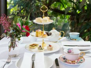 High Tea at Melbourne Zoo - Perisher Accommodation